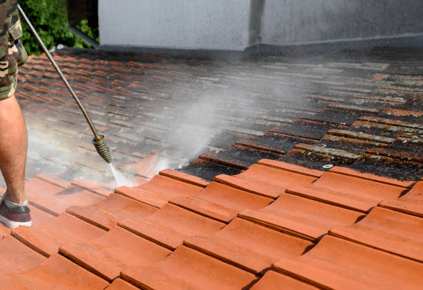 Best Roof Pressure Washing  in Bellview, FL