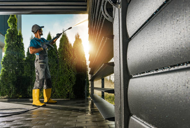 Best Residential Pressure Washing Services  in Bellview, FL