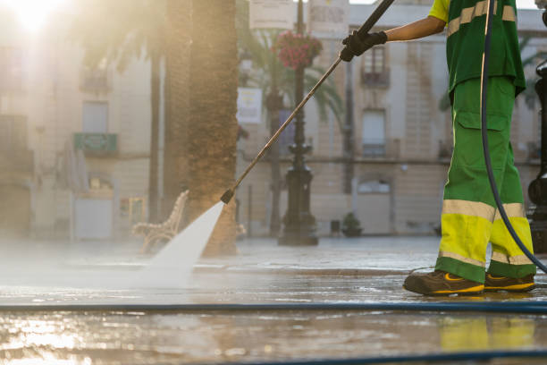 Best Pressure Washing Driveway  in Bellview, FL