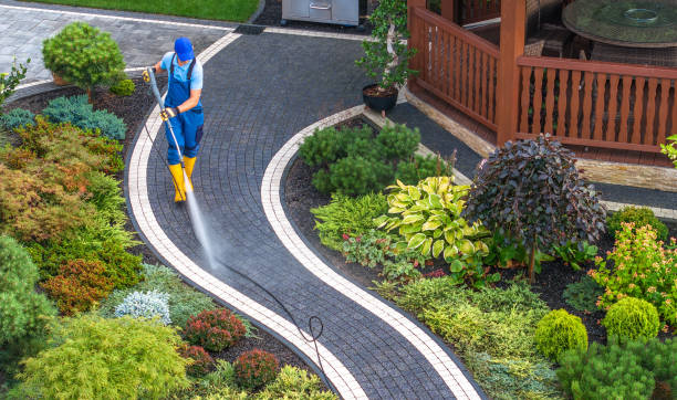 Best Deck Pressure Washing  in Bellview, FL